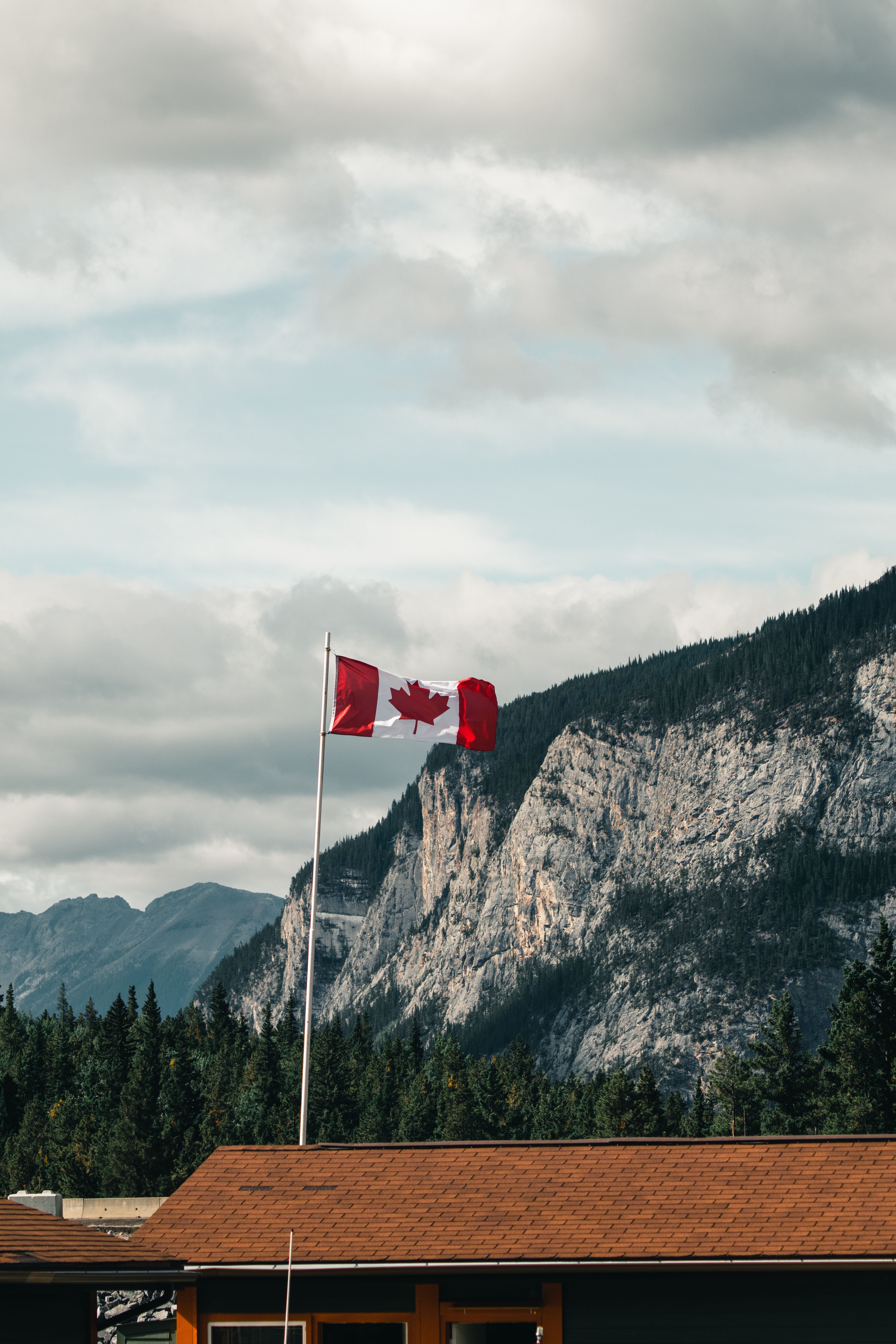 Standing Offers vs Supply Arrangements: A Bidder's Guide
